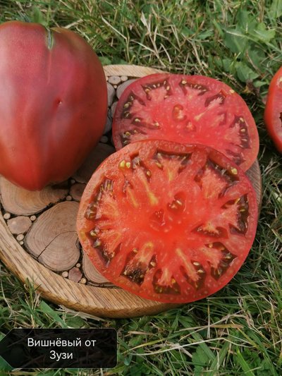 Daigus sodinti į dirvą galima kai jos temperatūra yra ne mažesnė nei 8 laipsniai