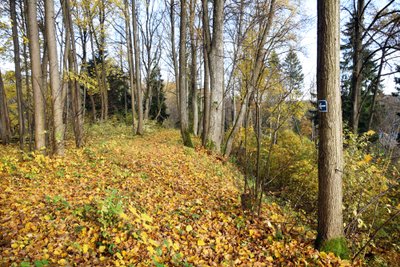 Grabijolų pažintinis takas (Neries regioninis parkas)