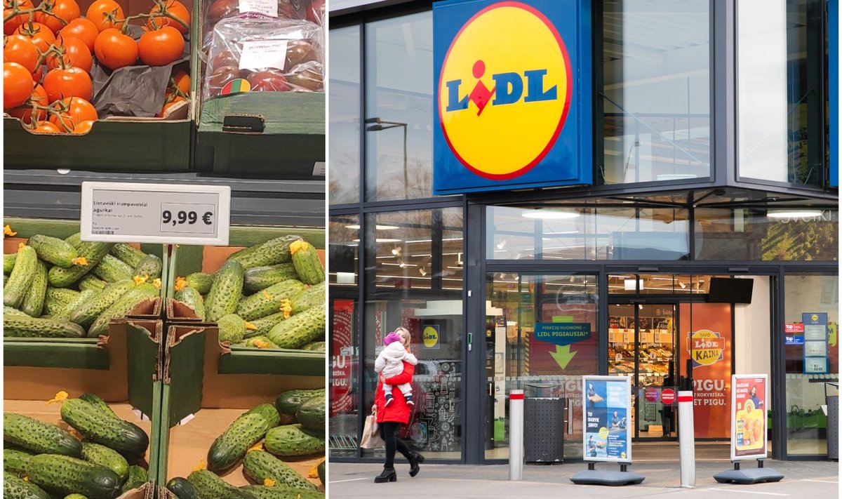 „Lidl“ trumpavaisių agurkų kaina