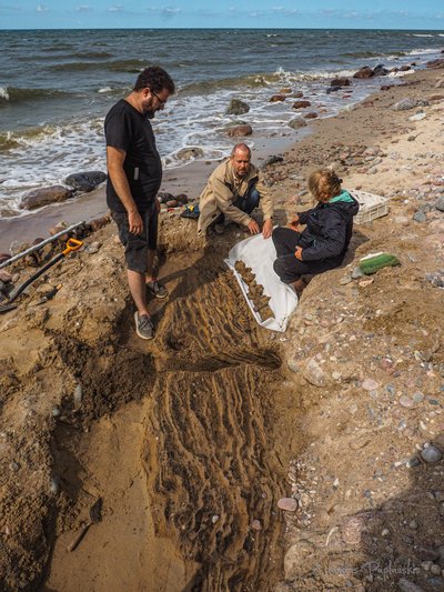 Lietuvos pajūryje iškasta mamuto iltis 