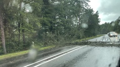 Ugniagesiai savaitgalį apie 230 kartų vyko šalinti stipraus vėjo nulaužtų medžių