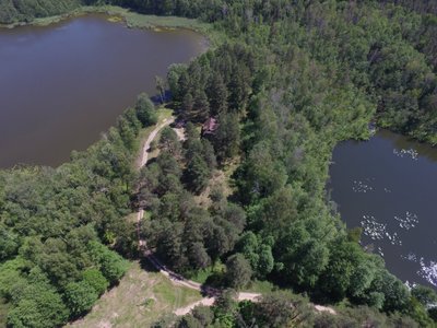 Mergelių akelės (Dzūkijos nacionalinio parko nuotr.)