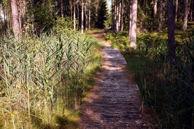 Šimonių pažintinis takas