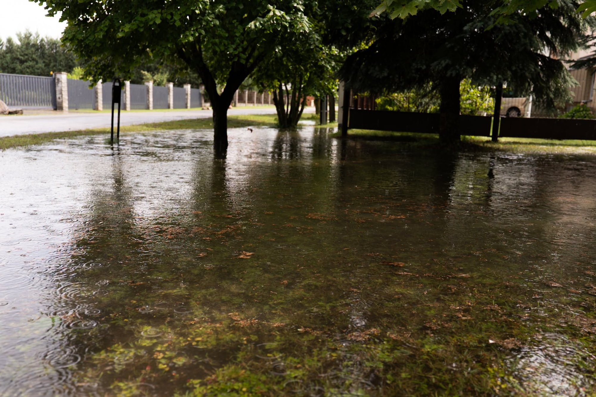 Hail and Downpours Flood Streets and Yards in Panevėžys District