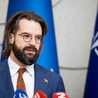 Poderskis: Lietuvai reikėtų dar vienos atliekų deginimo gamyklos