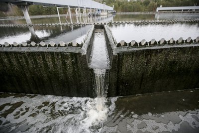 Vandens valykla