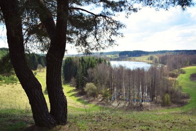 Vištyčio regioninis parkas