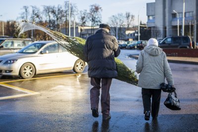 Eglučių prekyba Vilniuje