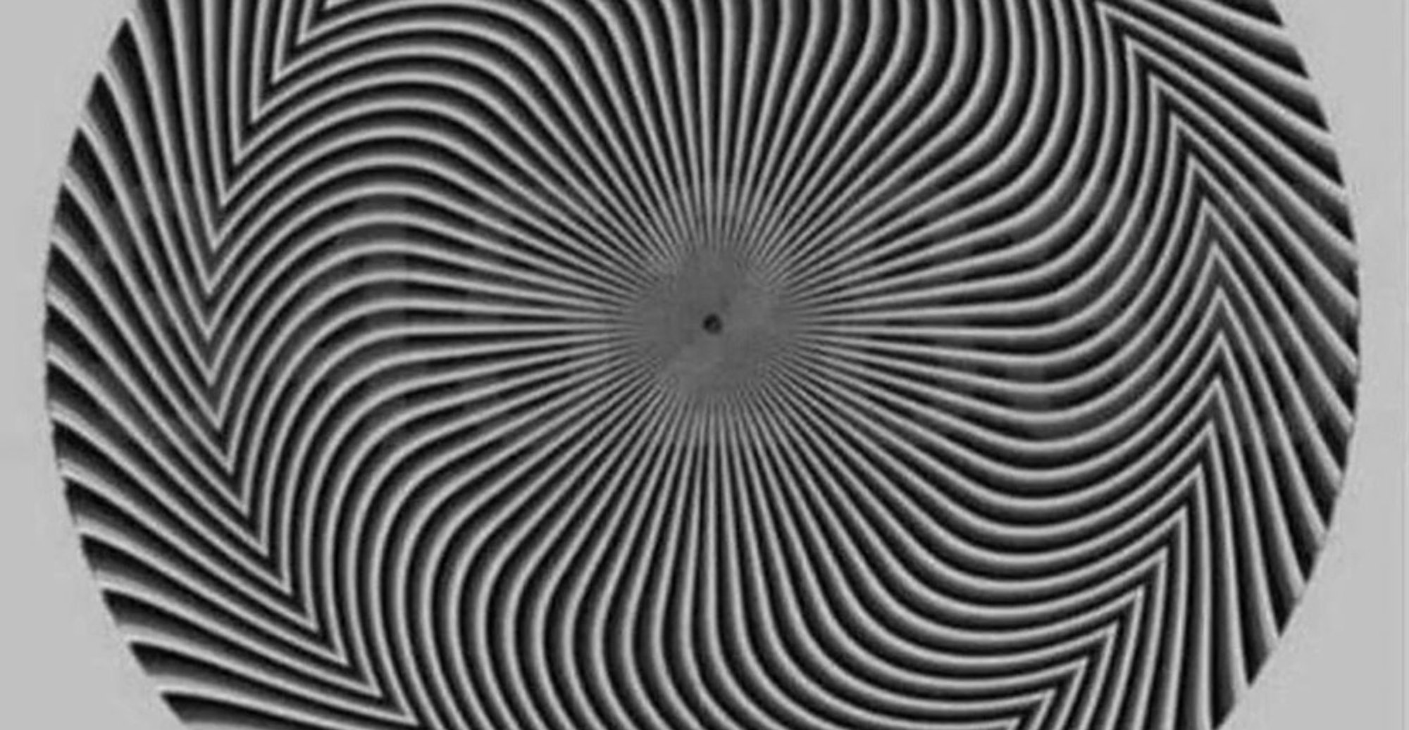 Optical illusion with hidden numbers divides internet: What do you see?
