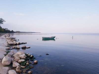 Nusekusios Kuršių marios