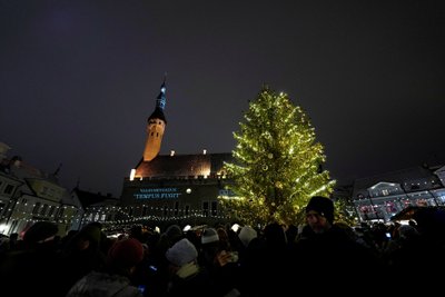 Talino Kalėdų eglė