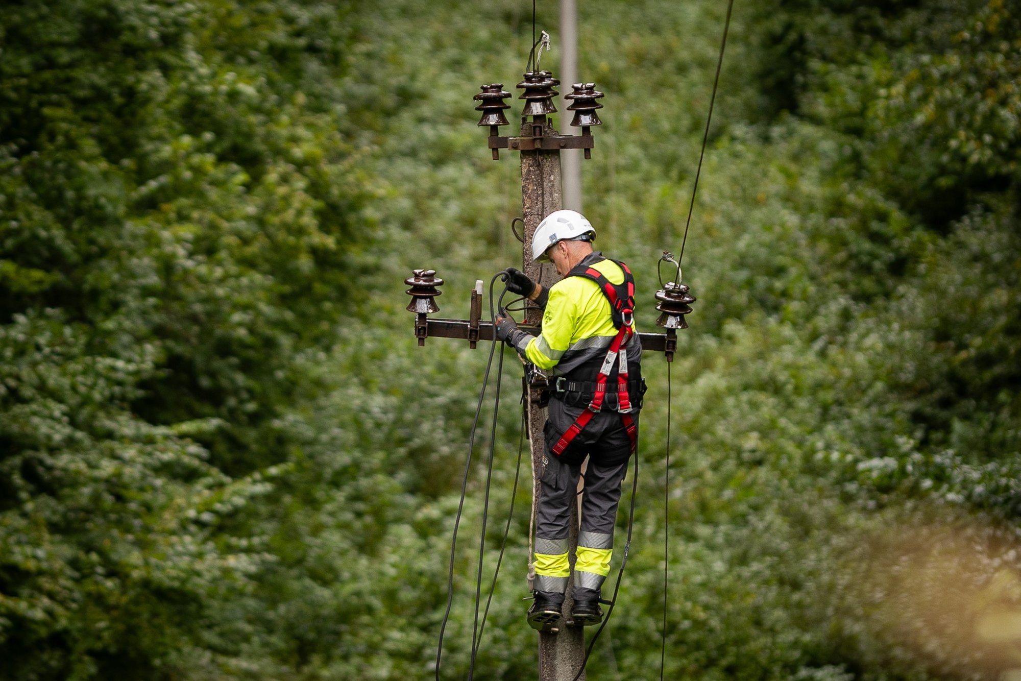 Lithuania: Faster power line cabling would cost 500 million euros, says energy operator chief
