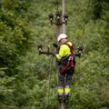 ESO vadovas: tris kartus spartesnis elektros linijų kabeliavimas kainuotų 0,5 mlrd. eurų