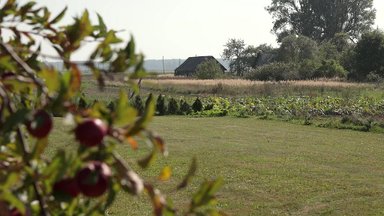 Po lietingo savaitgalio – pokyčiai: kitą savaitę orai bus visiškai kitokie 