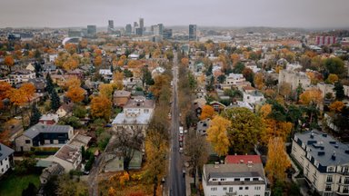 Vilnius plečia saugotinų medžių sąrašą: įtraukta dar 26,5 tūkst. objektų