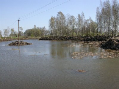 Vidury tvenkinio palikta salelė su aukštos įtampos elektros stulpu/ A.Balevičiaus nuotr.