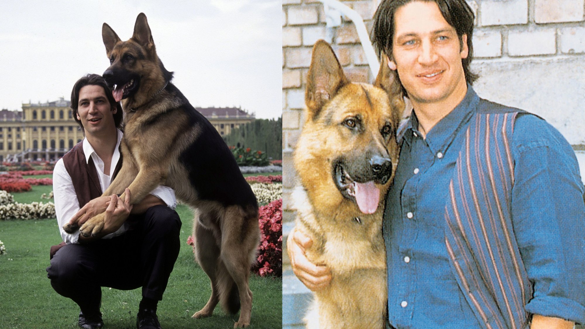 Do You Recognize Him? This Is What the Famous "Inspector Rex" Star Looks Like Today