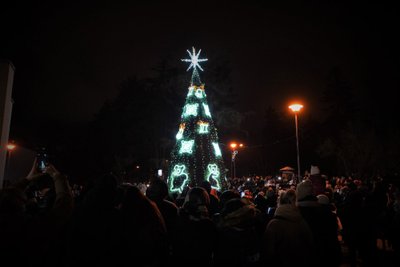 Lentvario Kalėdų eglutės įžiebimas (nuotr. Aleksandr Barabanov)