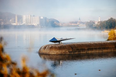 Mitinio žvėries skulptūra