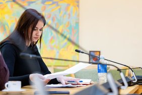 Ruginienė – apie pusiausvyrą tarp lėšų gynybai rinkimo ir socialinio saugumo: dabar mažiausiai reikia susiskaldymo