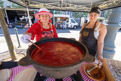 Vilniaus braškių festivalis