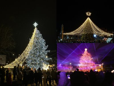 Kupiškio, Lazdijų ir Ukmergės eglės