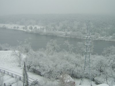 Aukštieji Šančiai, Kaunas, Žygintės nuotr.