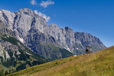 Dienten am Hochkönig žiemos metu augina populiarumą tarp slidinėjimo entuziastų