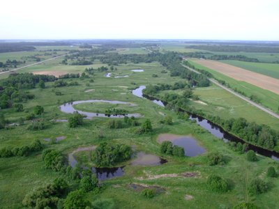 Nevėžio upės slėnio (senvagių) takas Krekenavos regioniniame parke