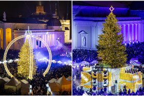 Kuri Vilniaus eglutė gražesnė: šių metų ar pernykštė?