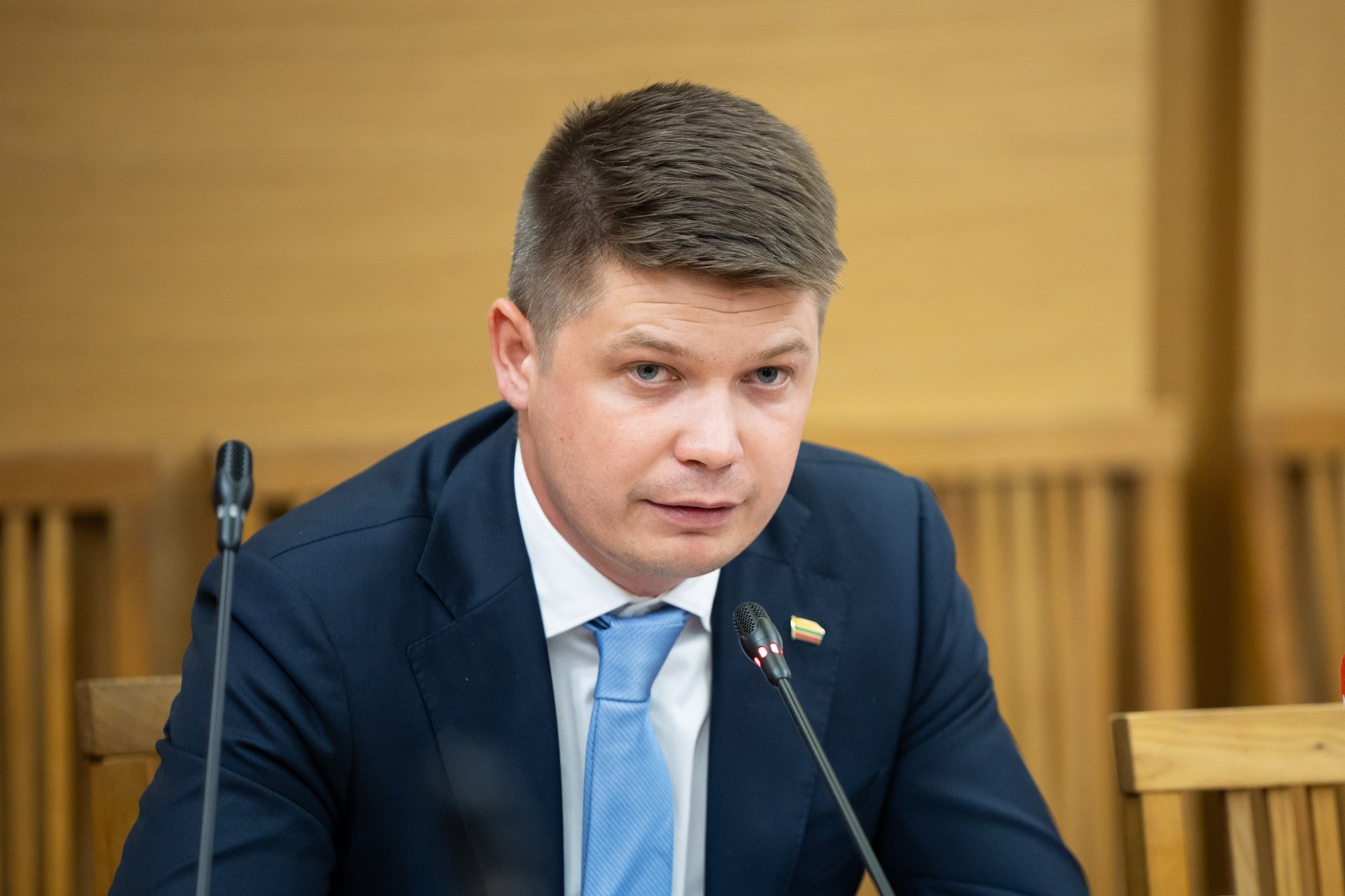 Lithuania Could Pay Full Migrant Solidarity Contribution Instead of Relocation, Suggests Analyst