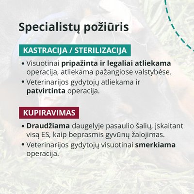 Nelegalus gyvūnų kupiravimas