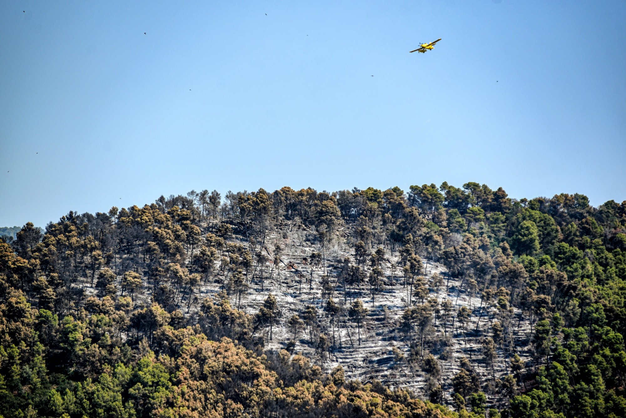 At least 12 dead in southern Spain forest fire