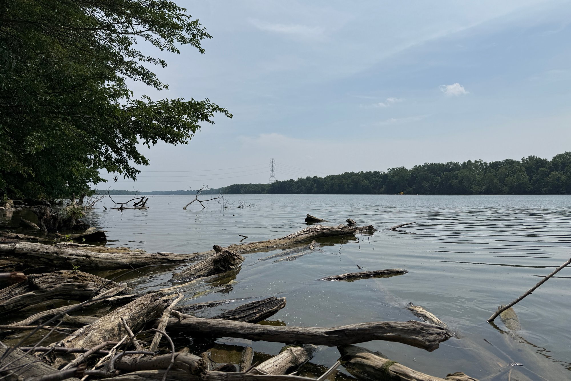 Five drown after attempting to rescue swimmer in Ohio