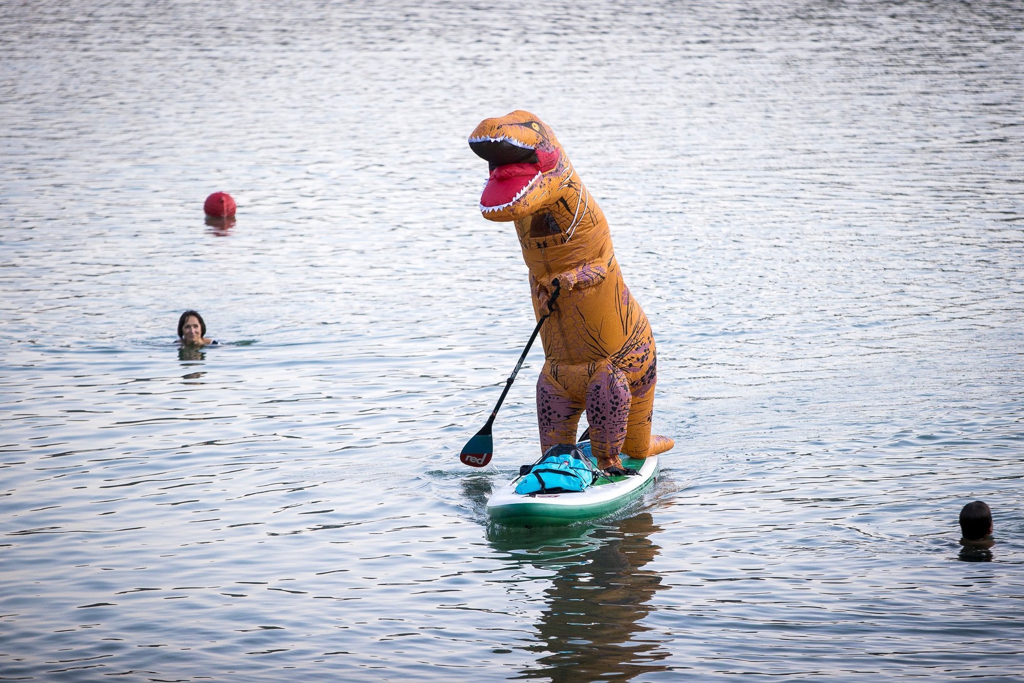 Vilnius Invites Swimmers to Annual 'Swim Vilnius' Marathon with 'Delfi' Course