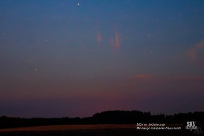 2024 m. vasarą raudonuosius kaukus nufotografavo „Sky Chasers LT“ fotografas Mindaugas Gasparavičius 