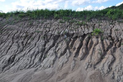 Nestabilizuoti kūdros šlaitai, neapribotalietaus vandens ir nešmenų prietaka į kūdrą/ A. Balevičiaus nuotr.