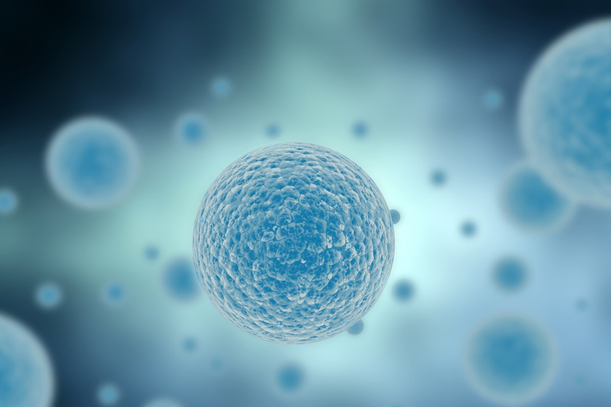 Planning Your Journey: The Complete leukemia treatment timeline 3 Planning Your Journey: The Complete leukemia treatment timeline