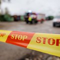 Vilniuje esančiame miške policija rado ginklą ir 246 šovinius