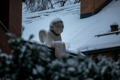 Žiemiškas Vilnius 