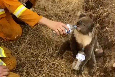 Gaisras Australijoje