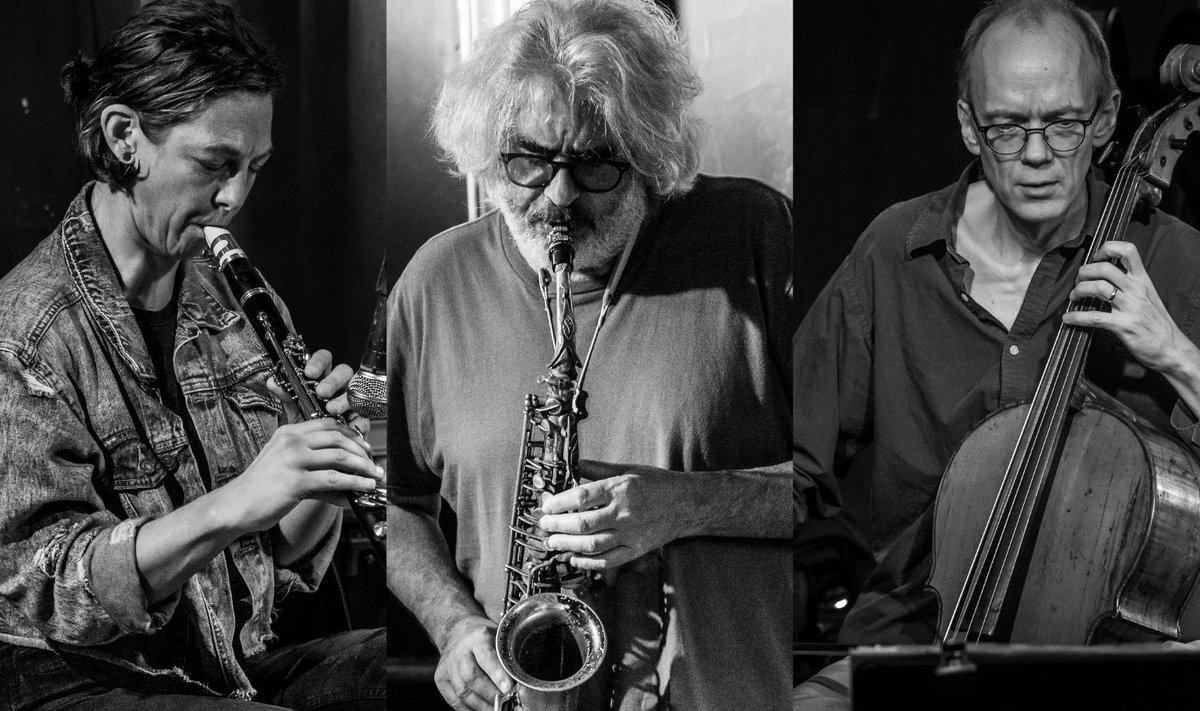 Tim Berne trio 