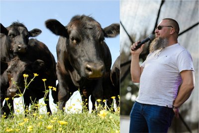 Angusų veislės galvijai, Gintautas Migonis