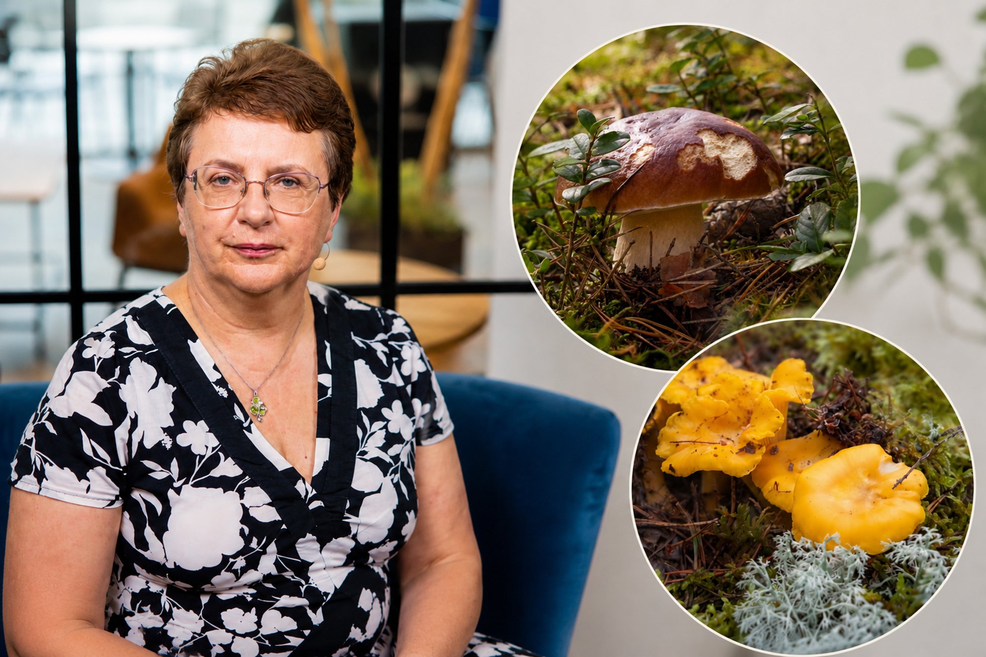 Mushroom Picking in Lithuania: Expert Warns of Dangers for Beginners
