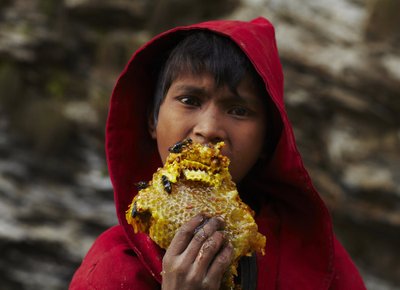 Nepalas, medus