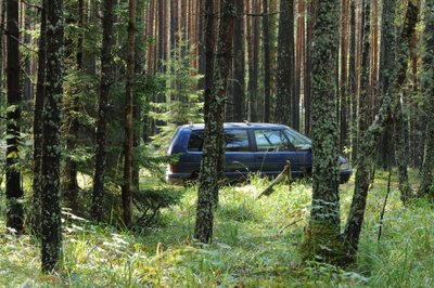 Kai kurie grybautojai nori nuvažiuoti iki pat grybo