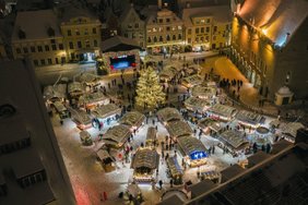 Pasakė, kiek kainuos Talino kalėdinė eglutė: skirtumas nuo sumos, skirtos Vilniaus žaliaskarei, kaip reikiant stebina