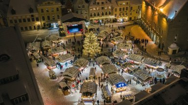 Pasakė, kiek kainuos Talino kalėdinė eglutė: skirtumas nuo sumos, skirtos Vilniaus žaliaskarei, kaip reikiant stebina